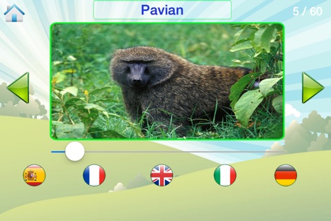 Animal Sound And Name - How To Call Them In English, French, Spanish, German and Italian screenshot 4