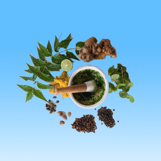 Ayurvedic Herbs And Minerals icon