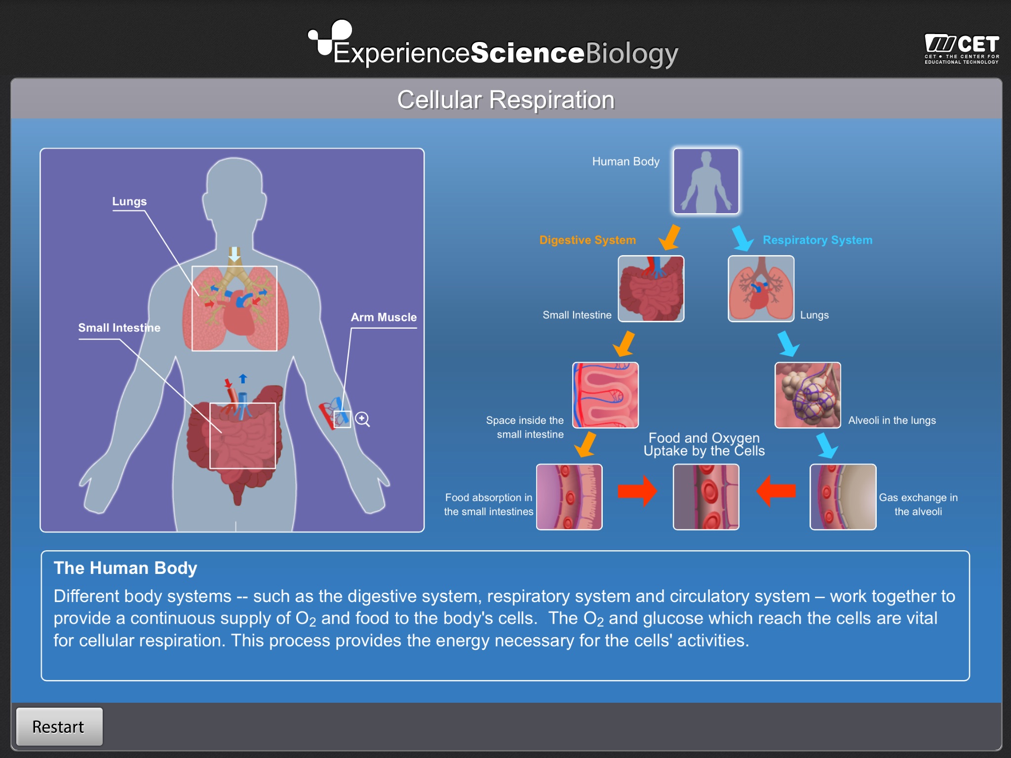 Experience Biology screenshot 4