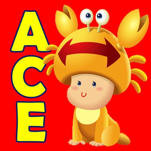 Ace Spin & Spell Matching Card Game icon