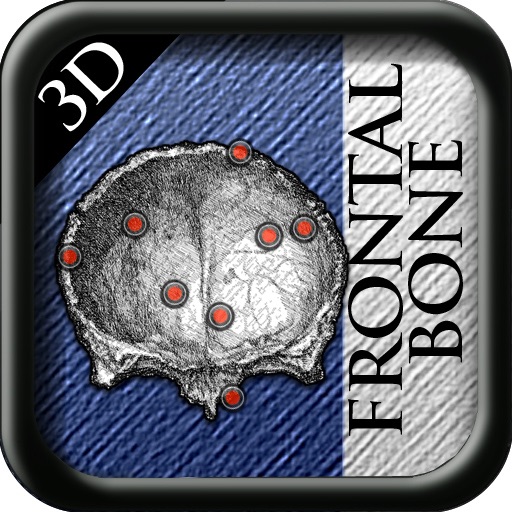 Frontal Bone 3D icon