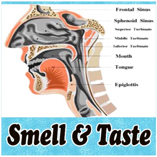 THE MIRACLES OF SMELL AND TASTE