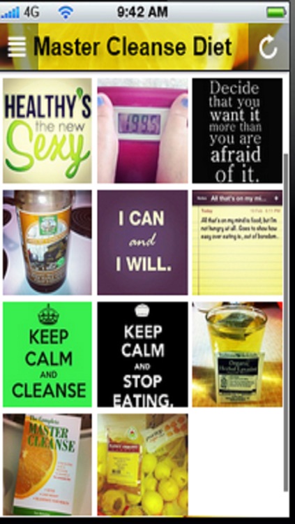 GreatApp - for Master Cleanse Diet Edition:The Master Cleanse and the Lemonade Diet+ screenshot-3