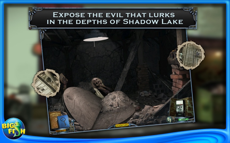 mystery case files: shadow lake collector's edition problems & solutions and troubleshooting guide - 2