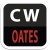 Oates Masonry Daily Log