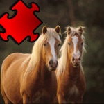 Ein Pferde-Puzzle mit Haflinger Ponies – Gratis Spiel-Spaß für die ganze Familie  Freunde