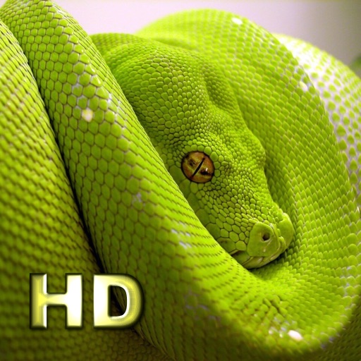 iSnakes HD icon