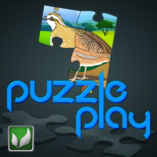 Puzzle Play Birds icon