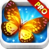 Amazing Butterfly Farm HD Pro