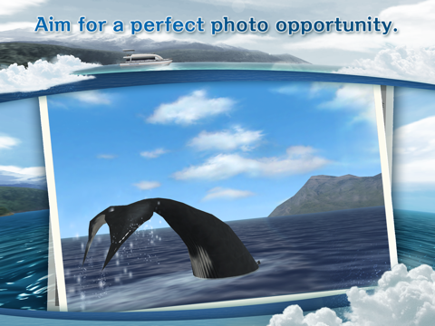 Screenshot #6 pour REAL WHALES  Find the cetacean.