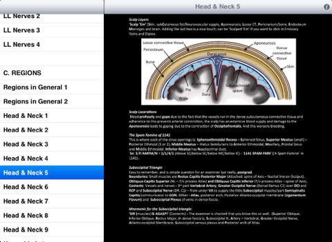 HAM Anatomy screenshot 4