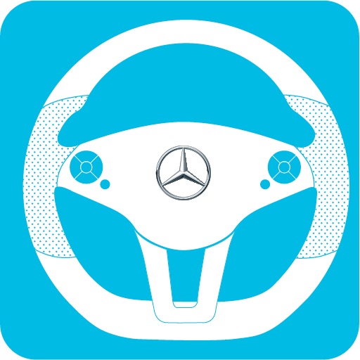 Mercedes-Benz 2012 Journey Icon