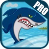 Angry Water Shark Attack Pro: killer fish Food Dash