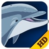 Sea Animals - HD