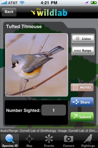 WildLab Bird screenshot 4