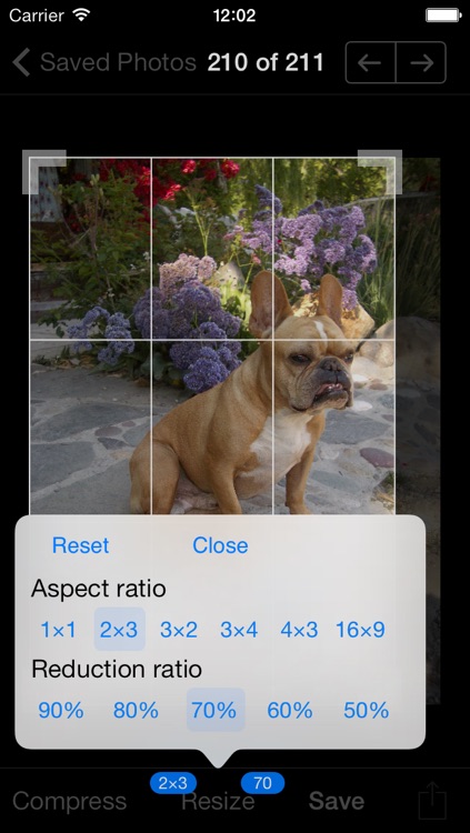 PhotoComp screenshot-4