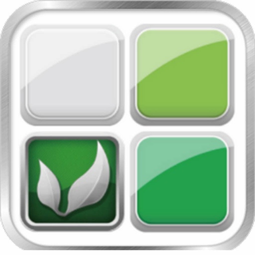 Green Block Icon