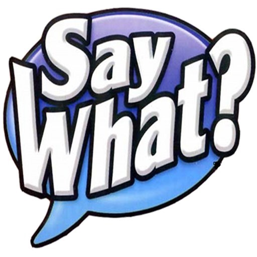 SayWhat Translator icon