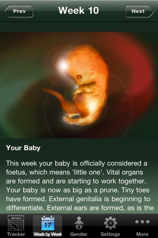 Baby Pregnancy Tracker screenshot 2