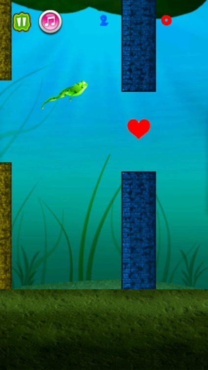 Flappy Toad