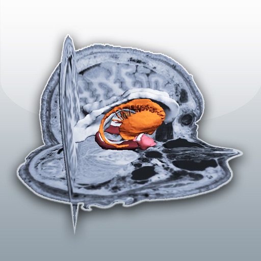 Brain S3D icon