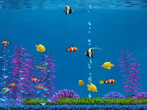 Colorful Aquarium for iPad Lite screenshot 2