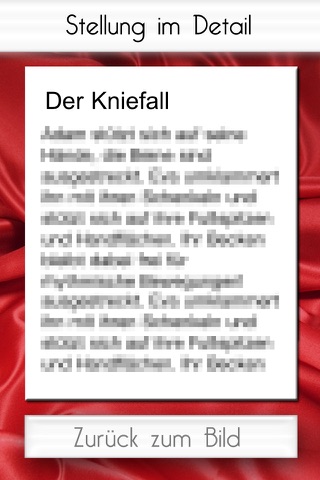 Heiße Sex-Stellungen screenshot 2