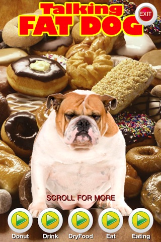 A Talking Fat Dog for iPhone! screenshot 3