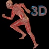 Human Body 3D for iPad