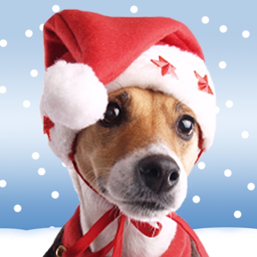 Christmas Pet Countdown Free - How many sleeps to Christmas? icon