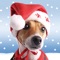 Christmas Pet Countdown Free - How many sleeps to Christmas?