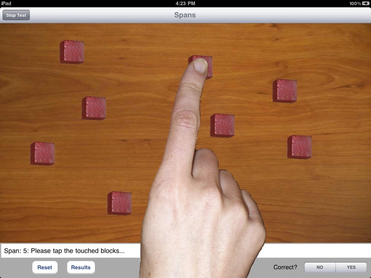 SpanTests screenshot-3