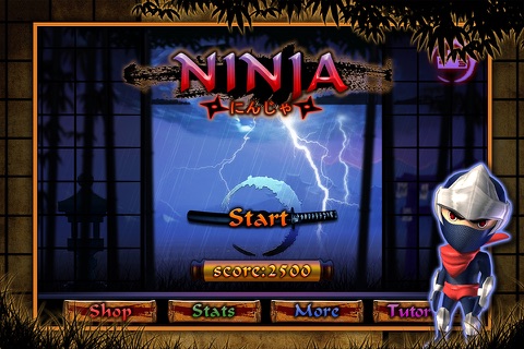 Rush Ninja screenshot 2