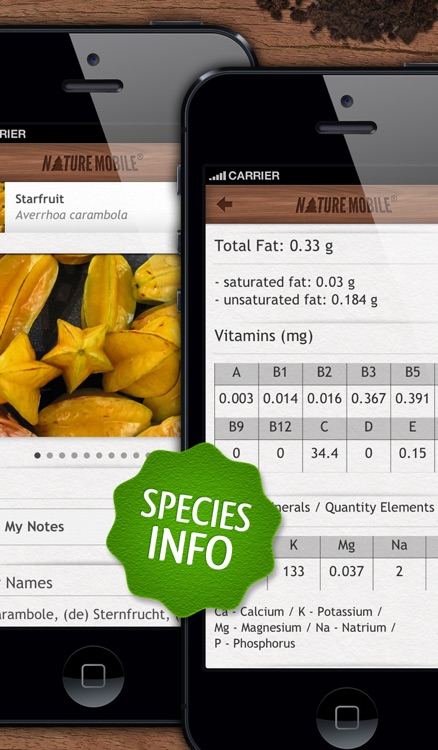 Exotic Fruits and Vegetables - NATURE MOBILE screenshot-4