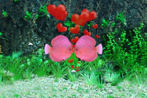 Crazy Kissing Fish screenshot 3