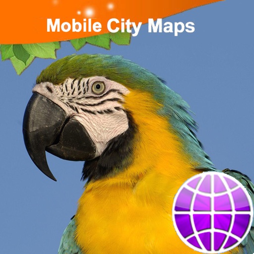 South America Maps HD icon