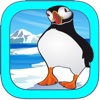 Trap the Puffin Pro - Tap Puzzle Strategy