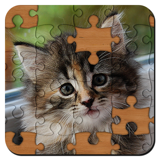 Jigsaw Puzzles