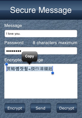 SecureMessage screenshot 2