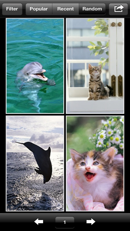 Retina Wallpapers HD - 640x960 Wallpapers and Backgrounds screenshot-4