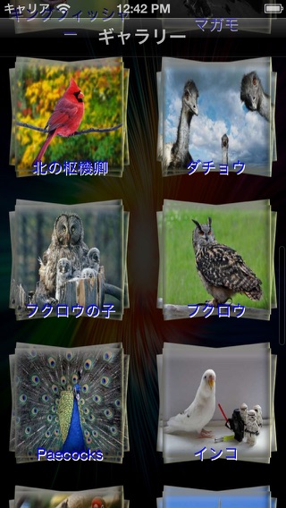 すべての鳥の壁紙のおすすめ画像5