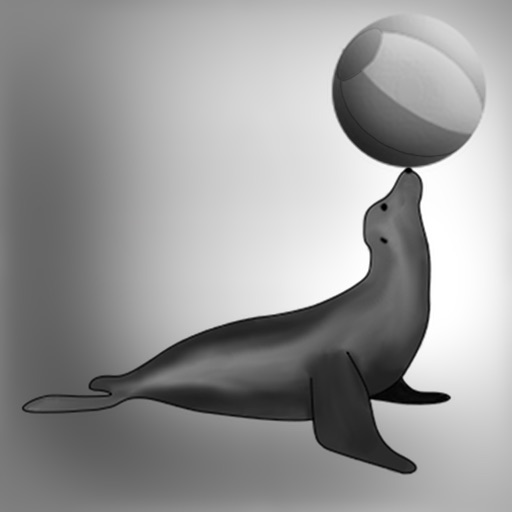 Stuart the Steady Seal iOS App