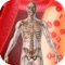 True guide to visually insightful information on over 100+ muscle & skeletal body parts