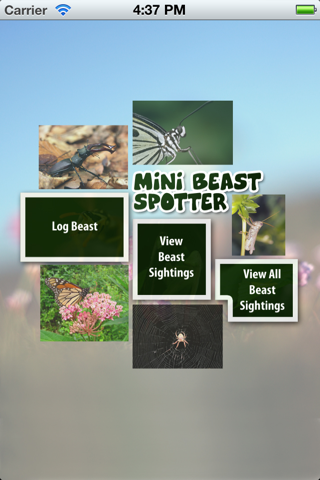 Mini Beast Insect Spotter- Spyglass screenshot 2