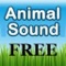 My Animal Sound (FREE)