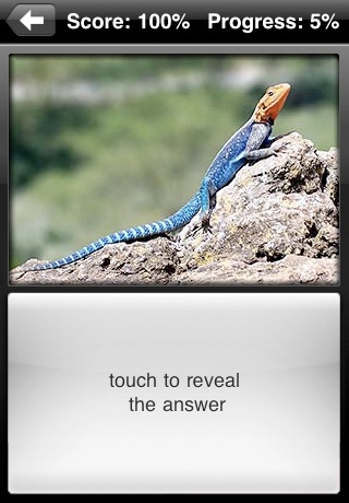 Reptile Flip: Flashcards of Reptiles screenshot 4