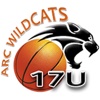 ARC Wildcats by AYN