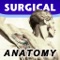 Surgical Anatomy - Student Edition by Joseph Maclise was originally published in 1859 and is now available on the Mac
