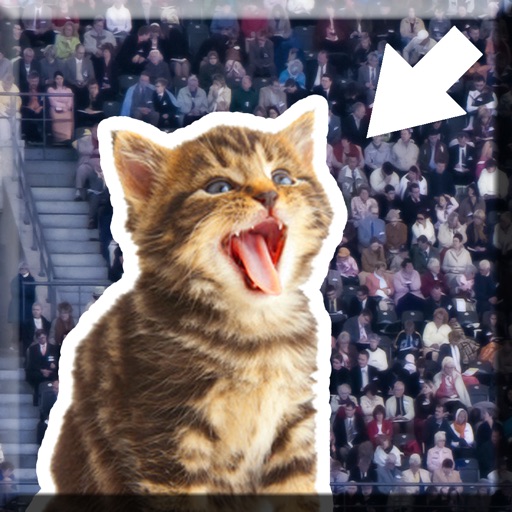 Kitty in the Crowd iOS App