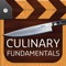 Access over 280 professional training videos on your iPhone